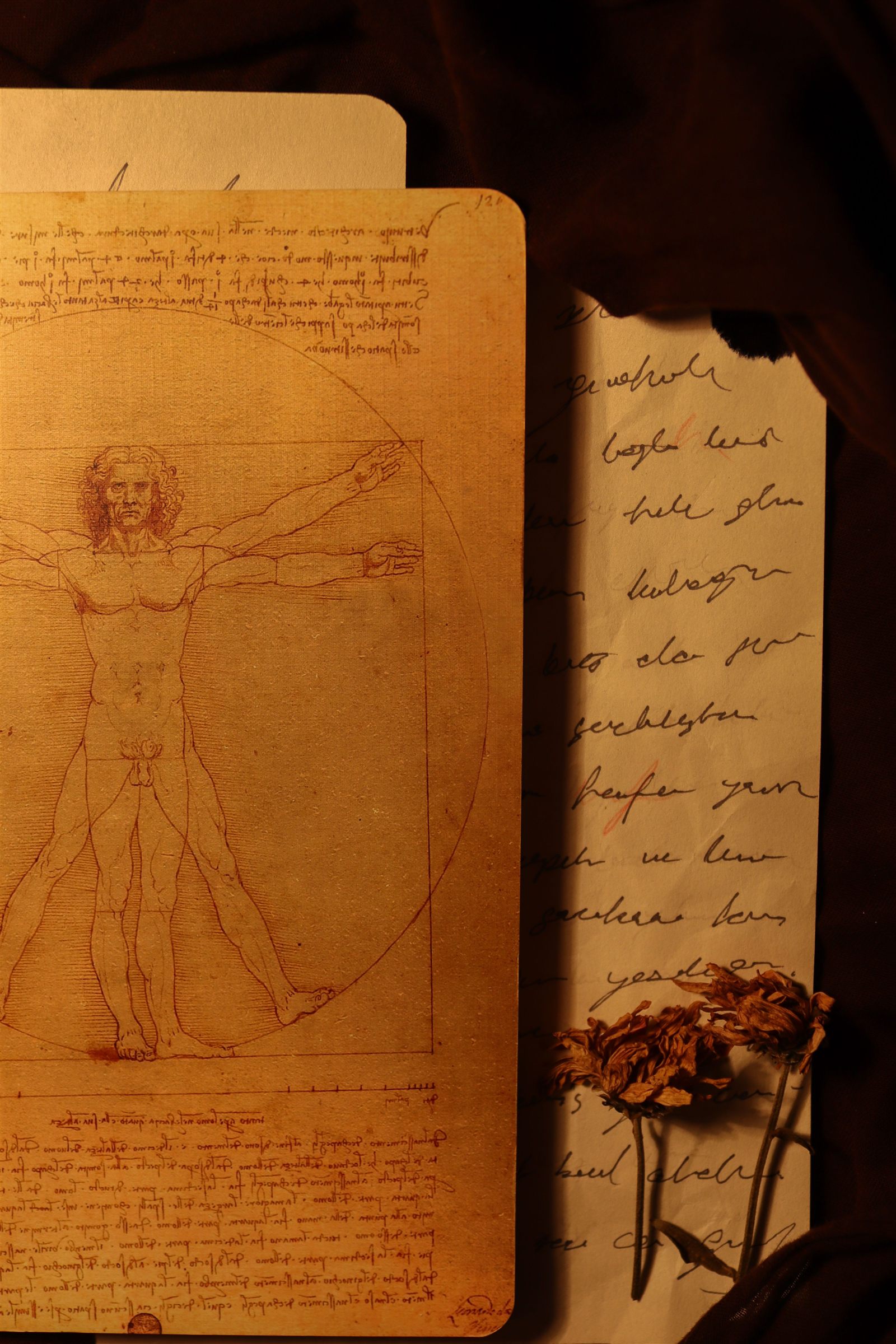 The Da Vinci Secret to Joyful Living in Retirement (Everything Connects)