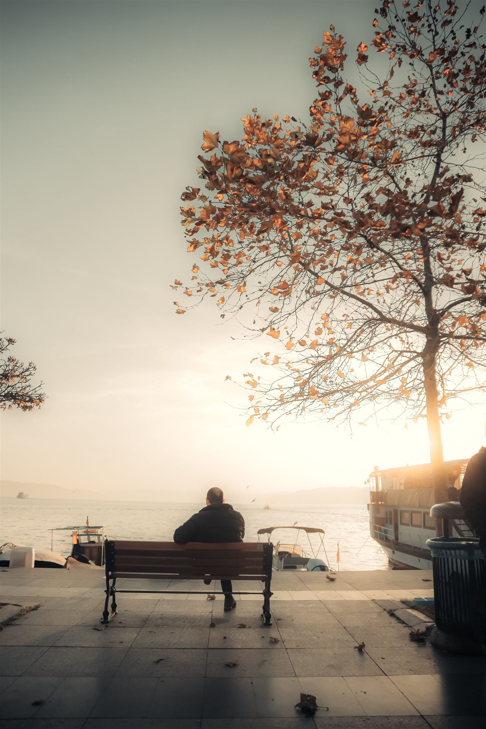 When the House Goes Quiet: On the Loneliness of Retirement